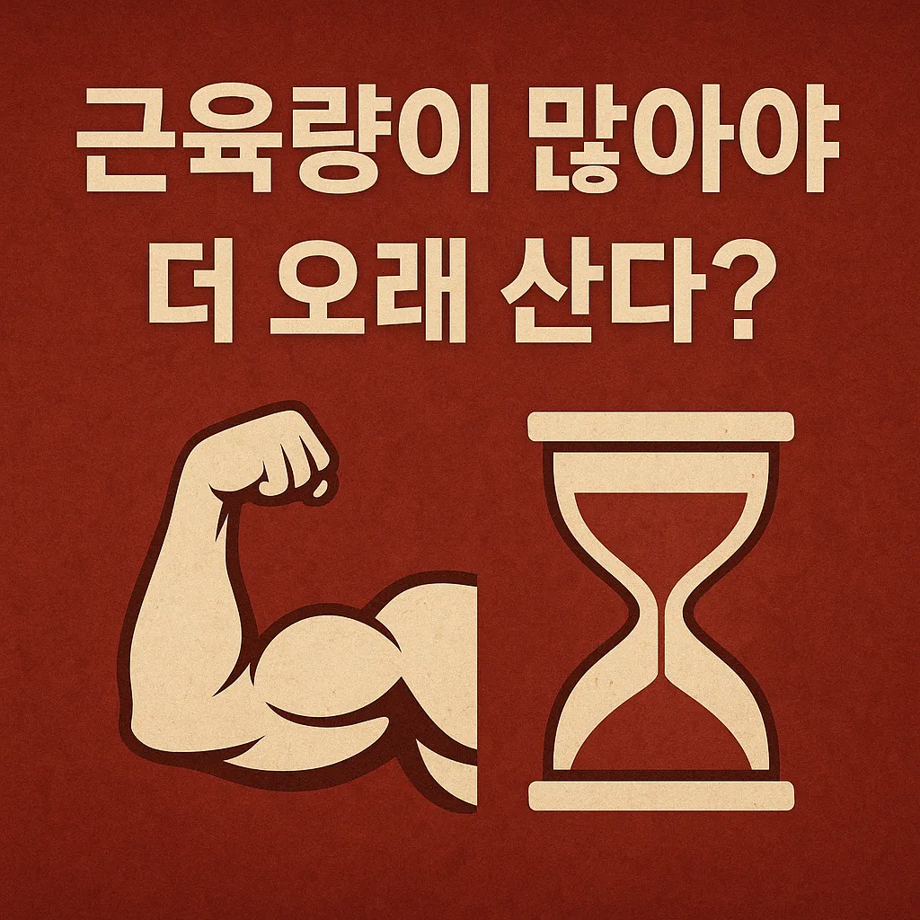 muscle-mass-and-longevity