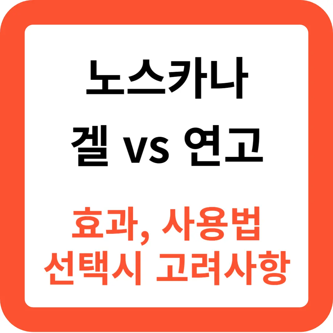 노스카나-효과와-노스카나-사용법-비교