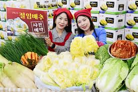 절임배추