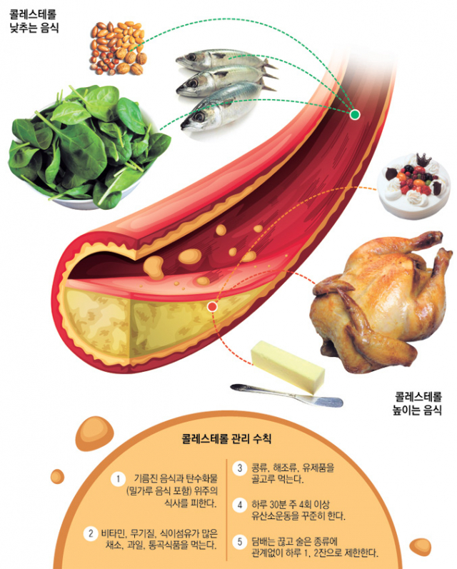 콜레스테롤 낮추는 방법
