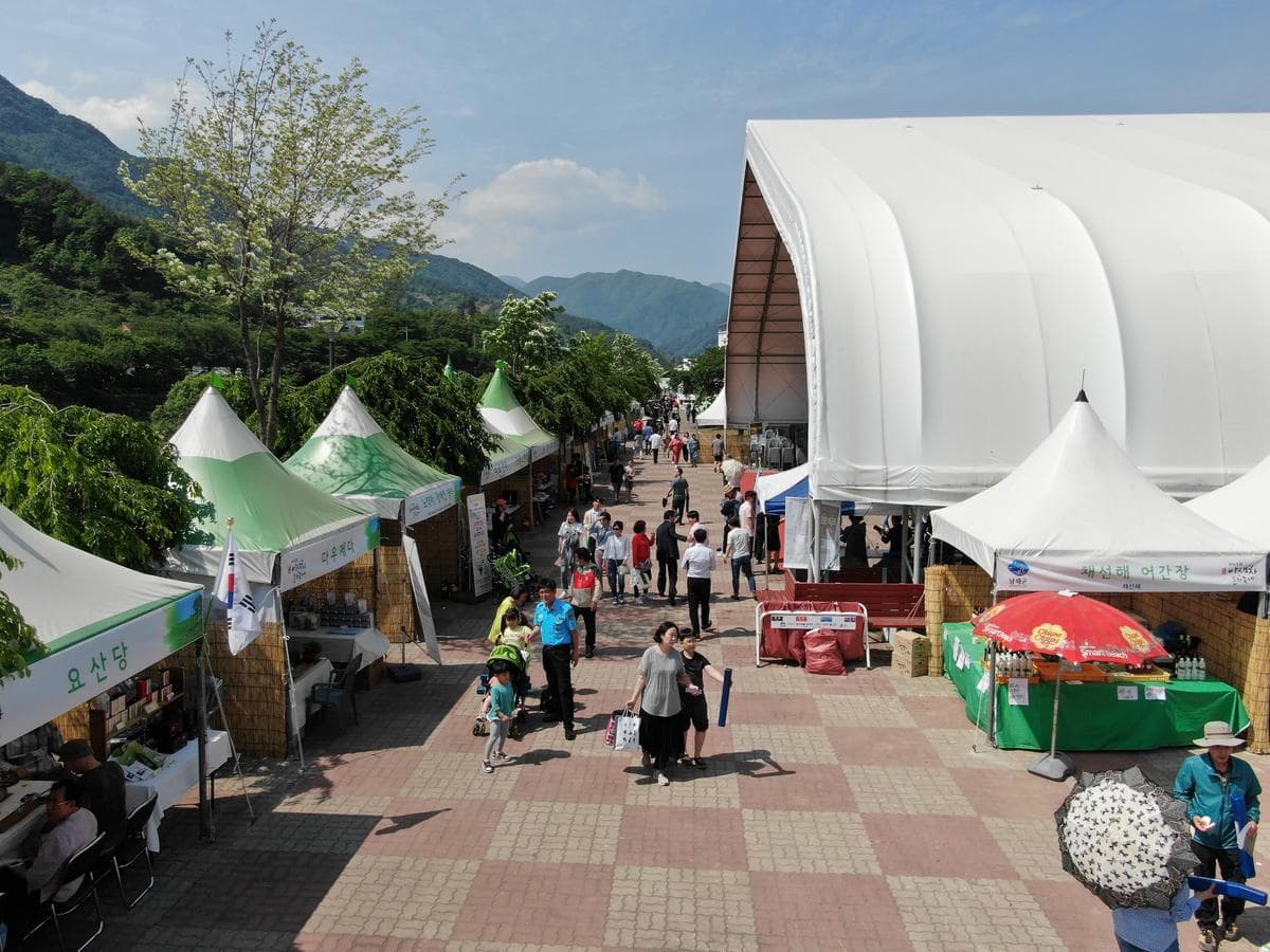 [5월 축제]2025 하동야생차문화축제❘기간, 일정, 체험 프로그램, 공연 정리