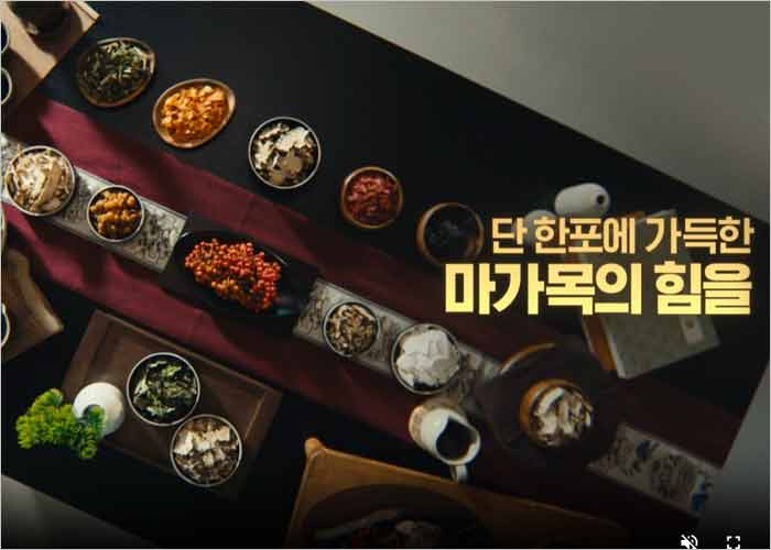 마가보감 프리미엄 가격, 후기, 마가목 효능