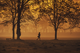 재개발에 밀려난 명소: 공원과 시장이 사라진 동네 이야기