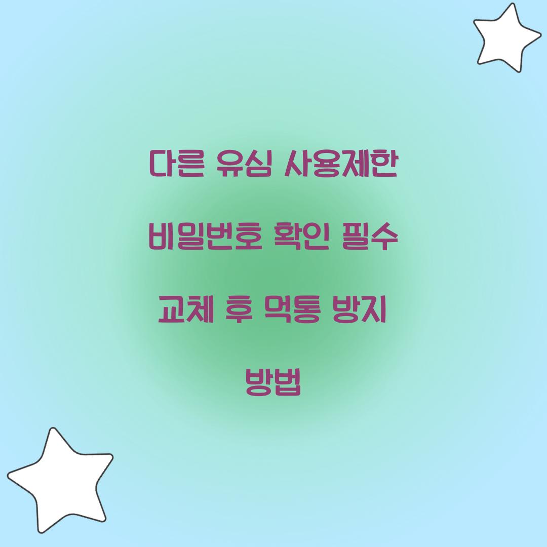 다른 유심 사용제한 비밀번호