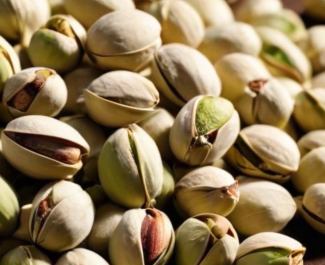피스타치오의 효능