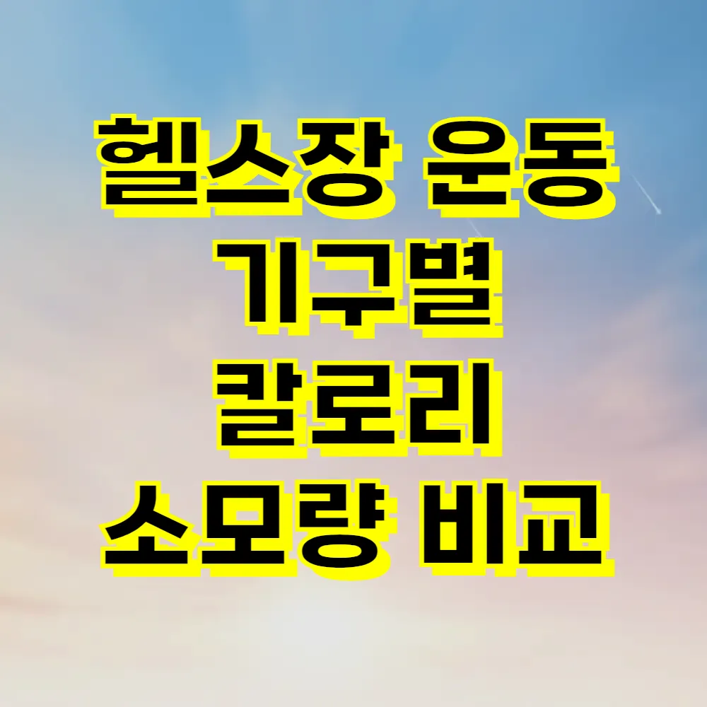 헬스장 운동 기구별 칼로리 소모량 비교