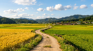 2026년 공익직불금 신청 자격부터 방법까지 완벽 정리