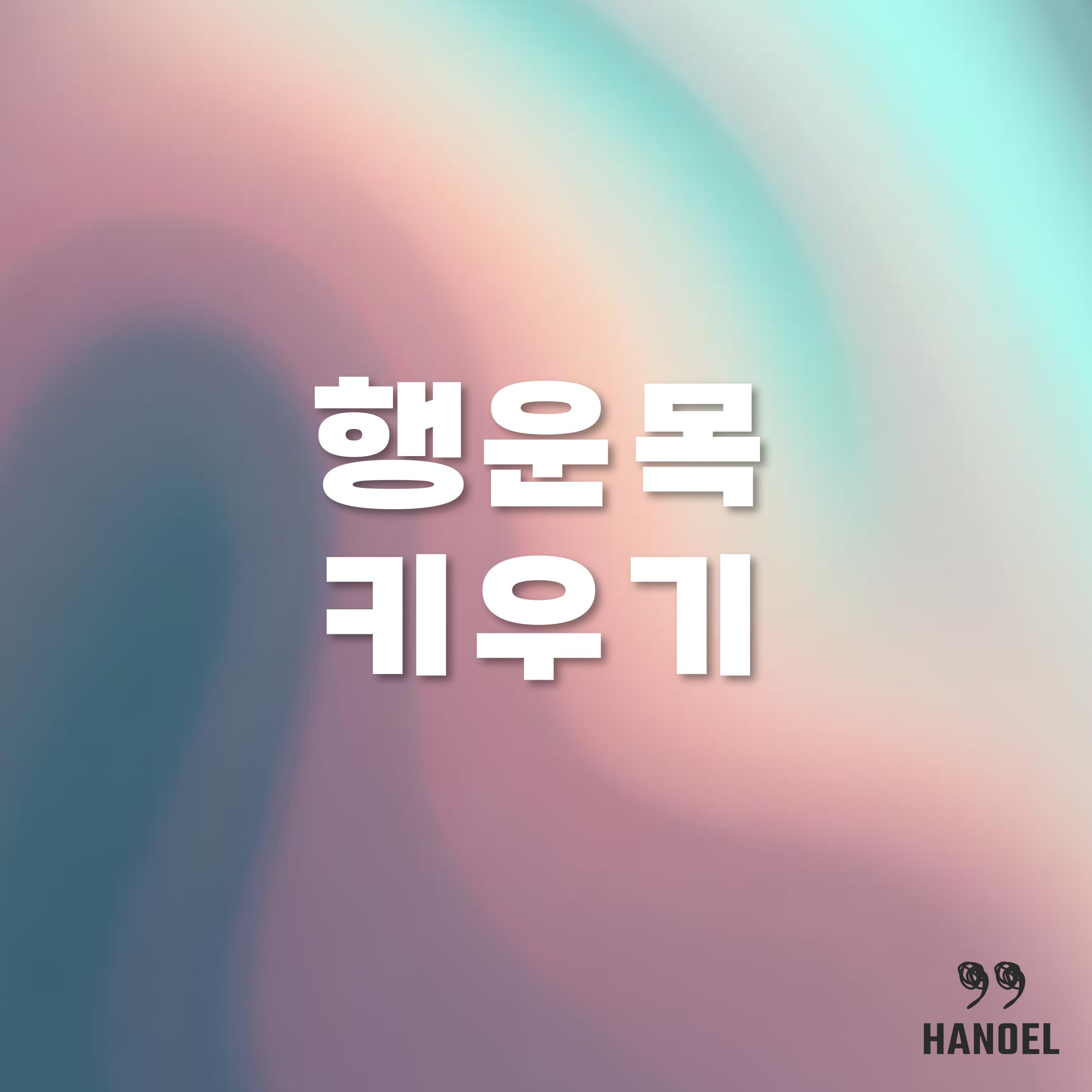행운목 키우기