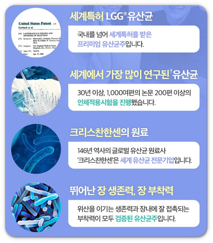 LGG 유산균 효능