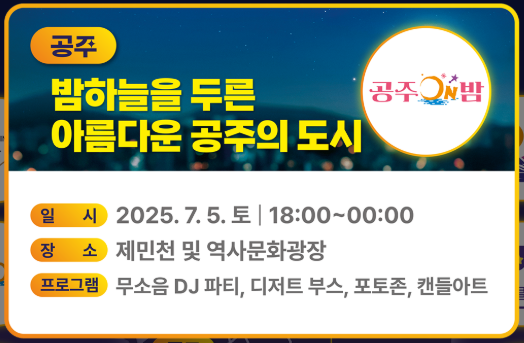 공주 - 제민천 따라 즐기는 역사 속 밤문화 / 공주투어