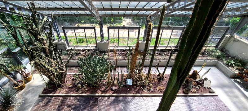 온실 내에서 1, 2층을 오고 가면 바라볼 수도 있음