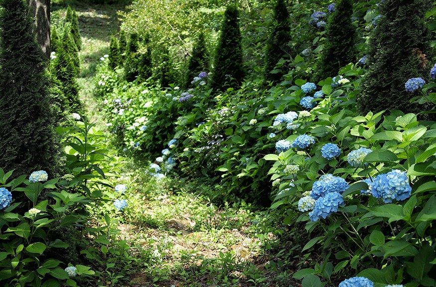 고성 그레이스 정원