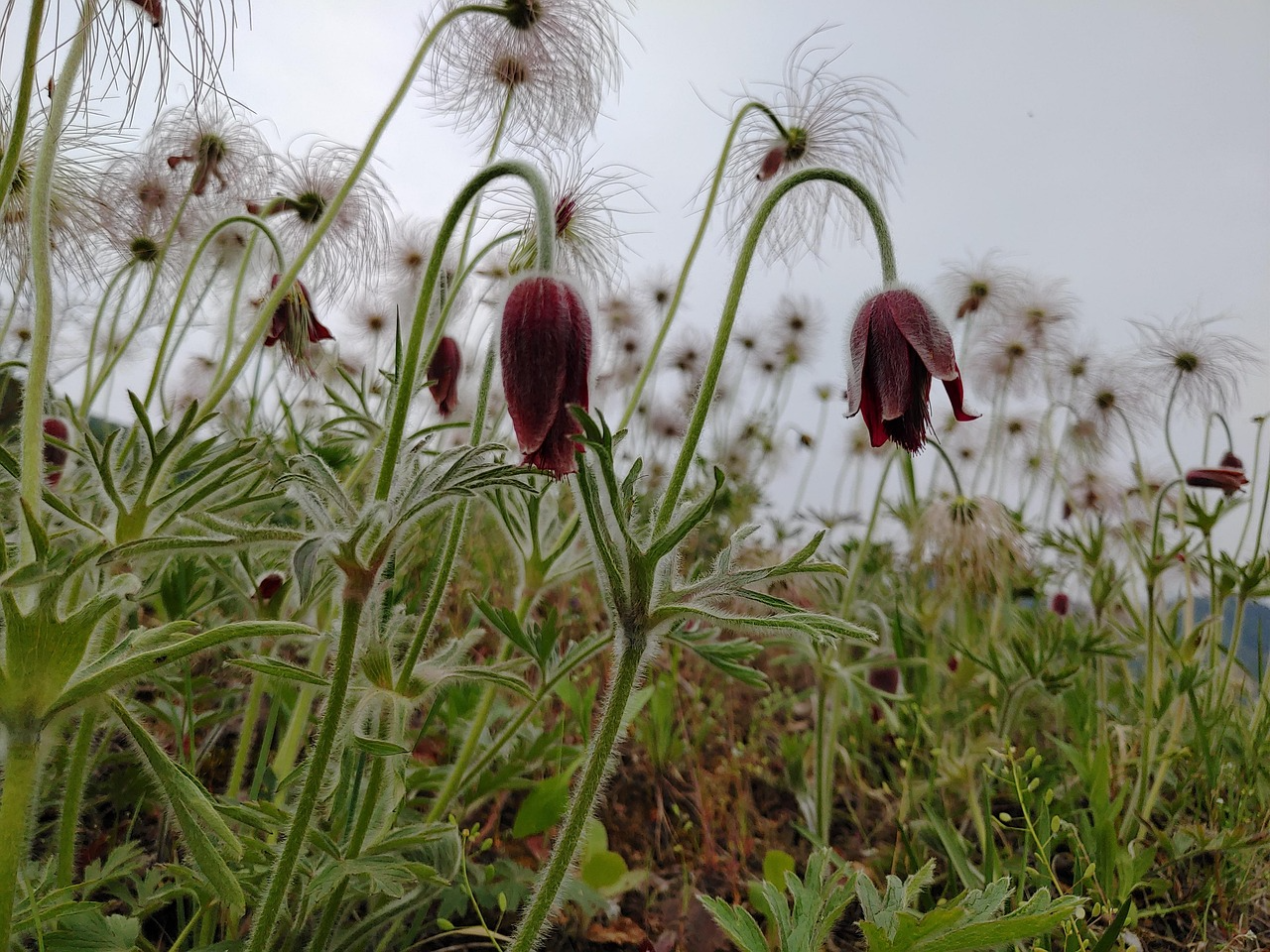 2026년 청주 청원구 부동산 정보 관련 사진