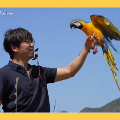 가평 베니아새정원