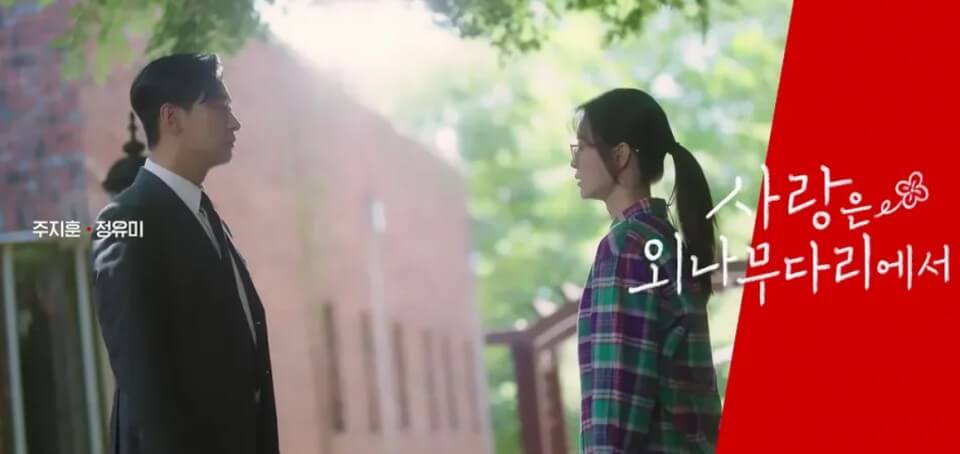 사랑은 외나무다리에서