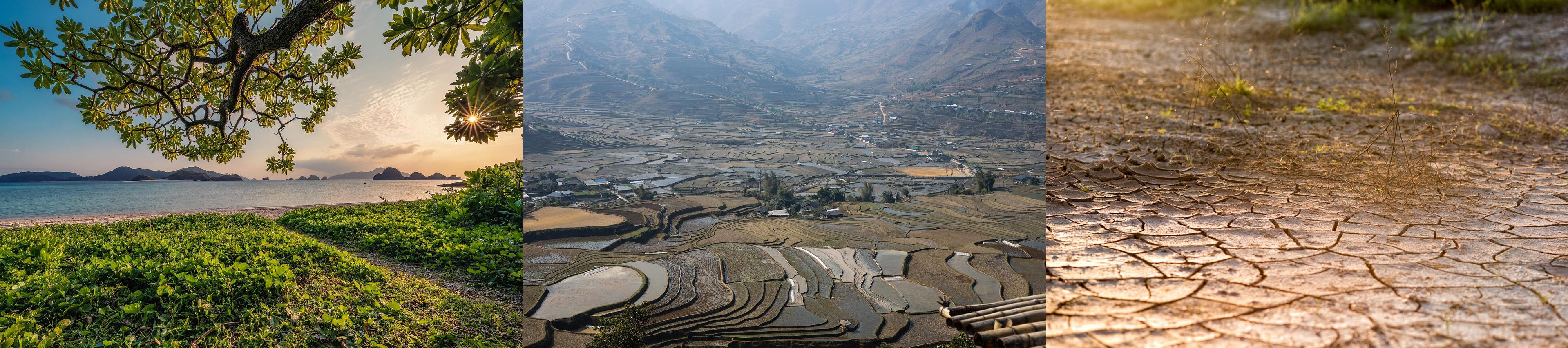 강릉재난사태 가뭄