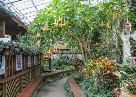 오대산 근처 허브나라