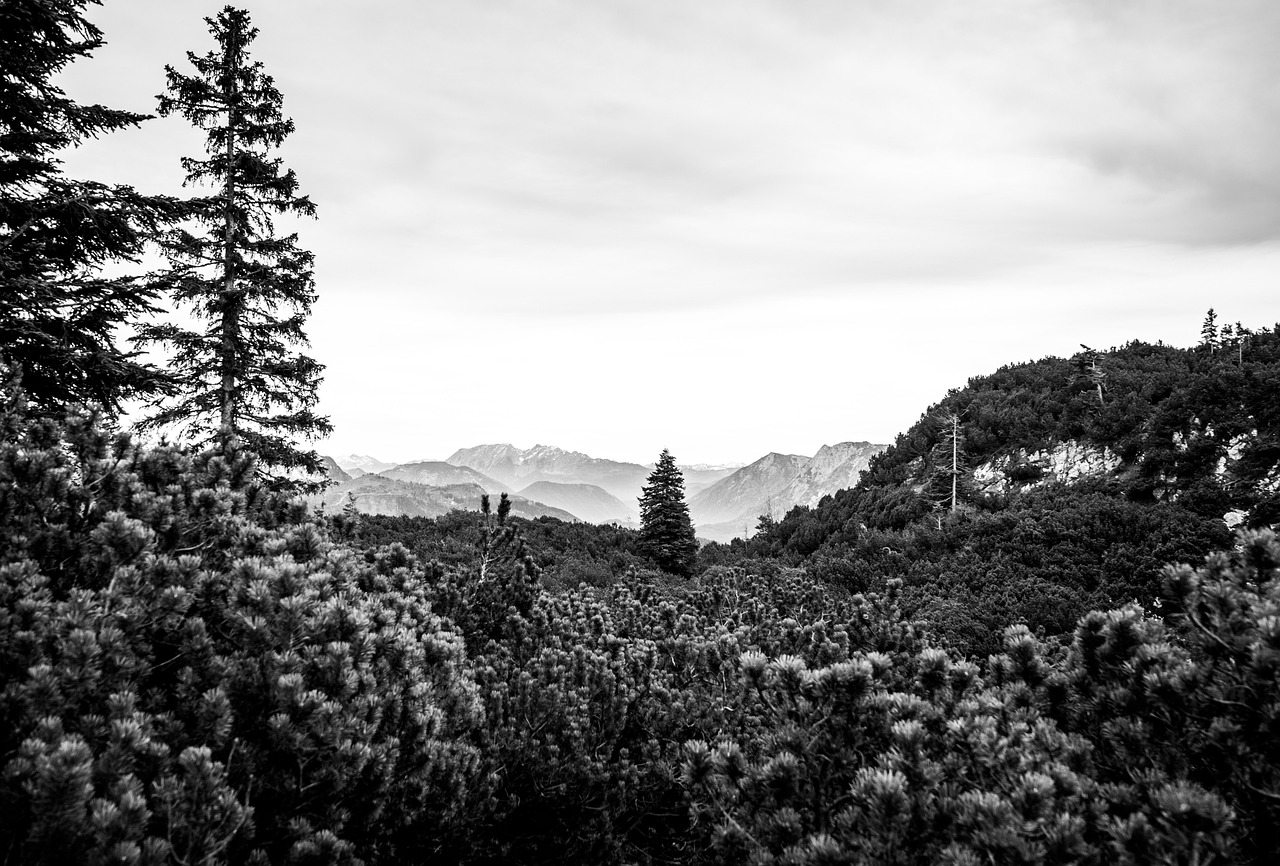 아시아 여행 코스 기획법 (여정짜기, 맛집찾기, 숙소팁)사진