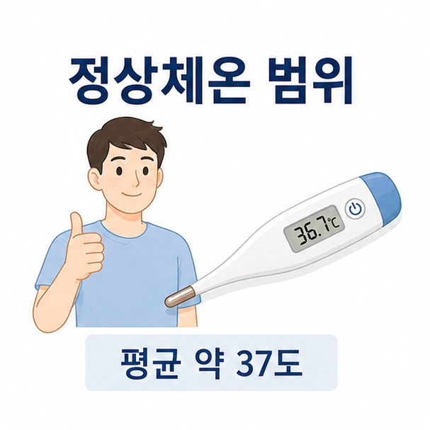 디지털 체온계와 건강한 성인을 배치해 정상체온 범위가 평균 약 37도를 중심으로 형성된다는 점을 설명한 대표 이미지