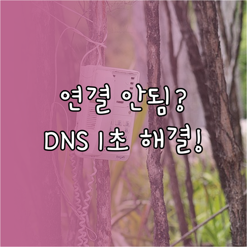 크롬 사이트에 연결할 수 없음 해결 ..