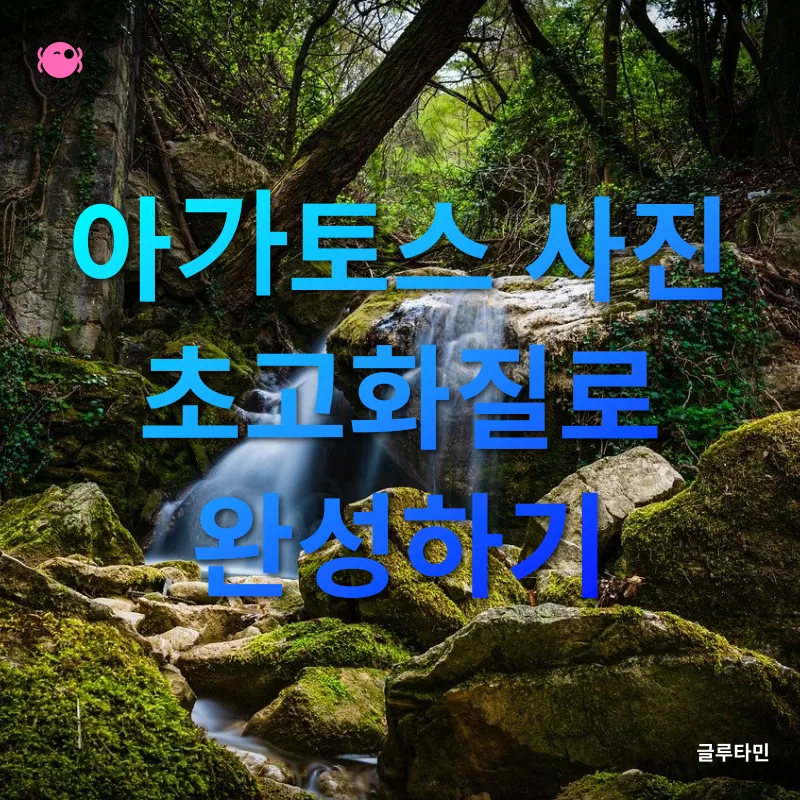 아가토스 사진 활용법_1