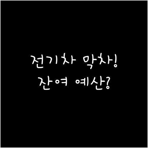 전기차 보조금 연말 막차 구매자를 위..