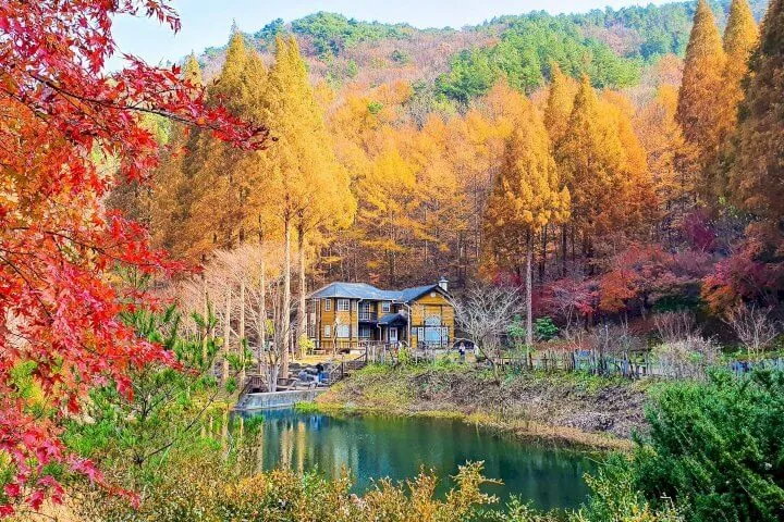 온빛자연휴양림 가을