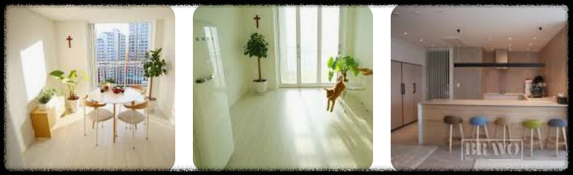 정리수납전문가