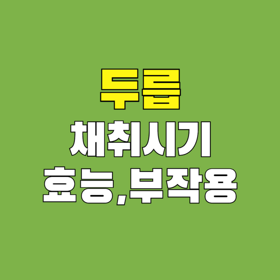 두릅-채취시기