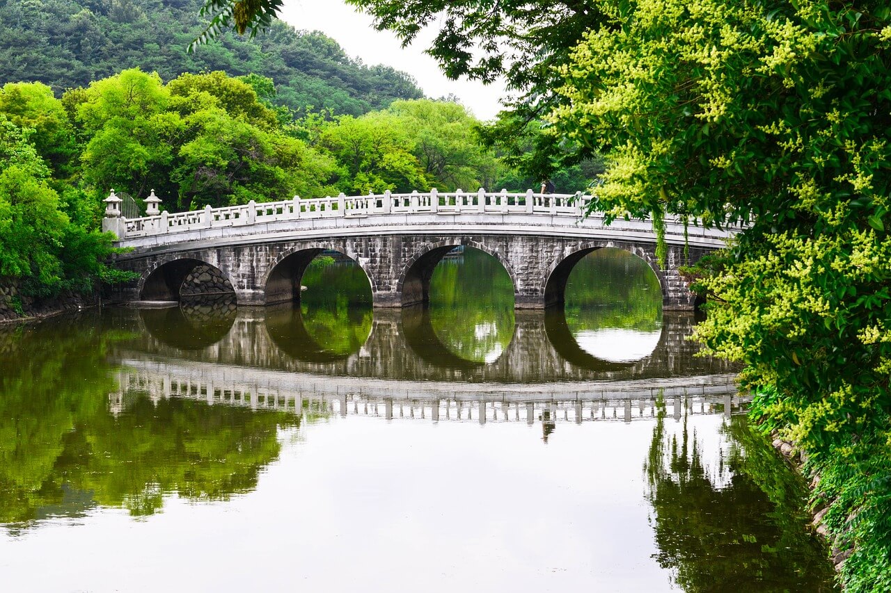 숲 해설가 자격증 취득방법