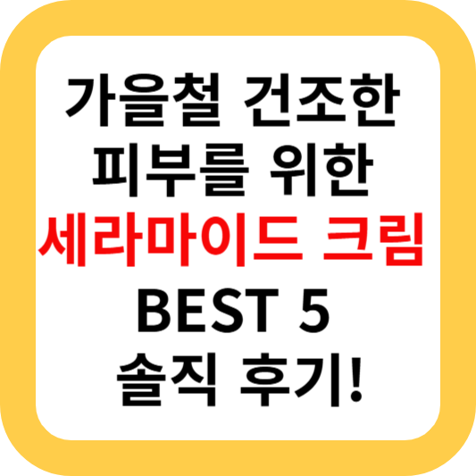 세라마이드 크림