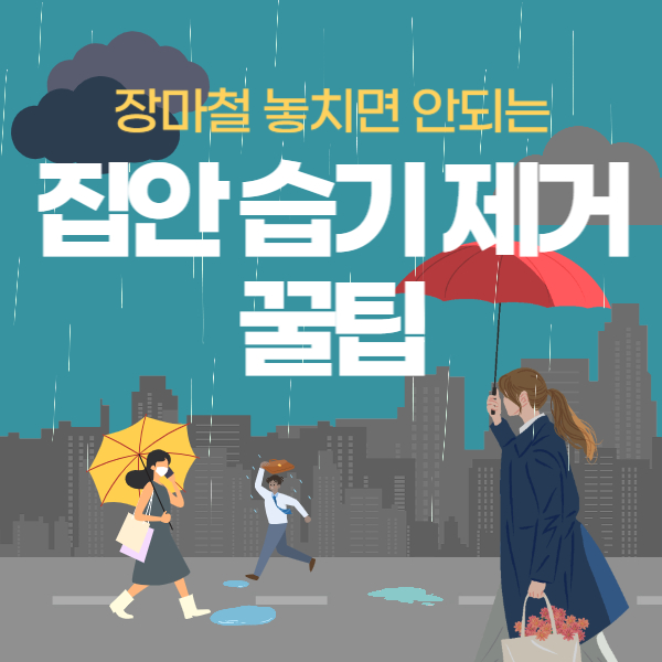 장마철 집안 습기 제거 꿀팁