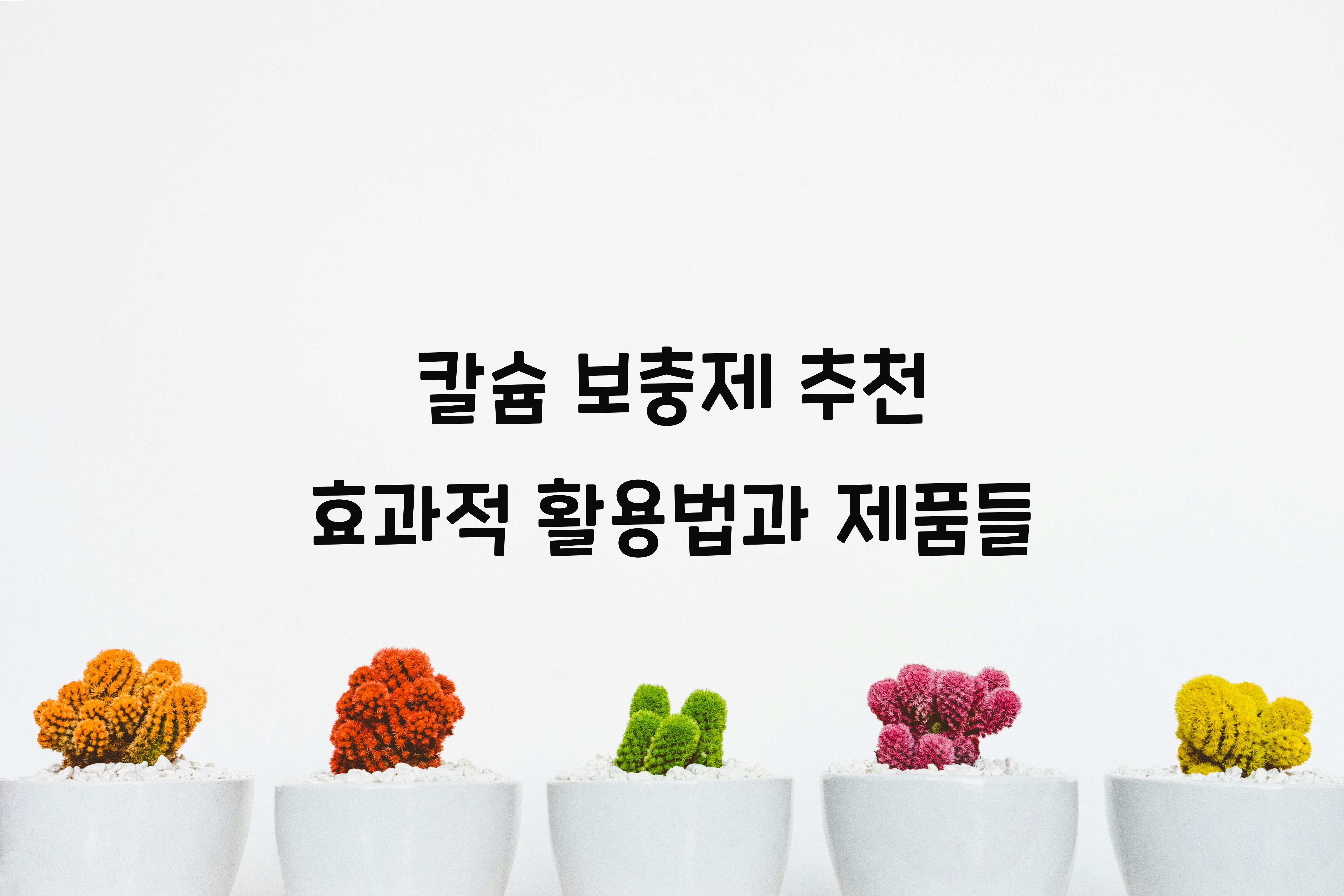 칼슘 보충제 추천