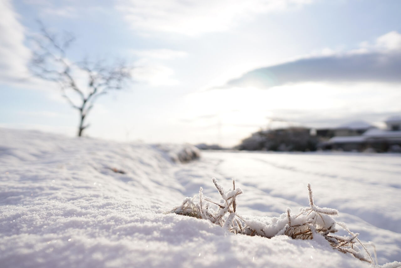 수미마을 양평빙송어축제