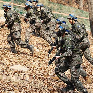 예비군 교육필증