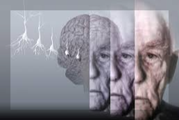 알츠하이머, 혈관성 치매