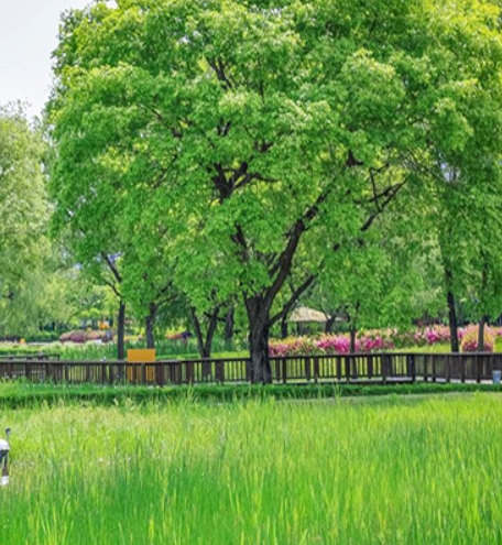 서울 핫플레이스, 서울에디션25