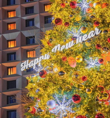 서울시청 크리스마스트리3