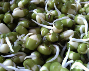 황태 콩나물국 만드는법