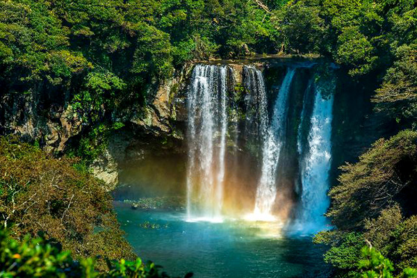 제주도-가볼만한곳-10곳-천지연폭포1