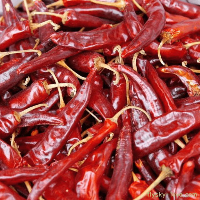 홍고추 고르는 법