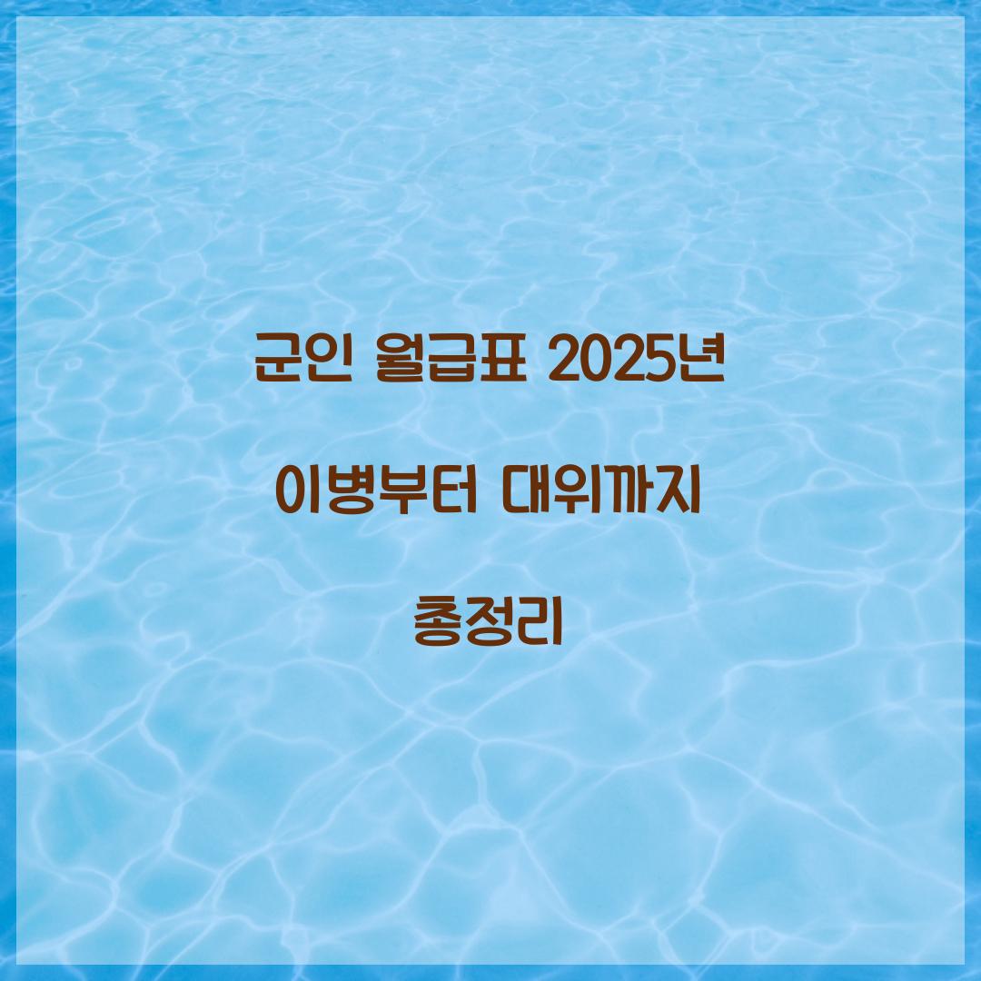군인 월급표