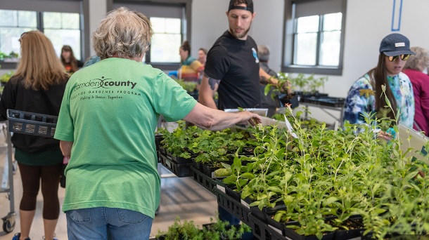 식물 할머니 청년