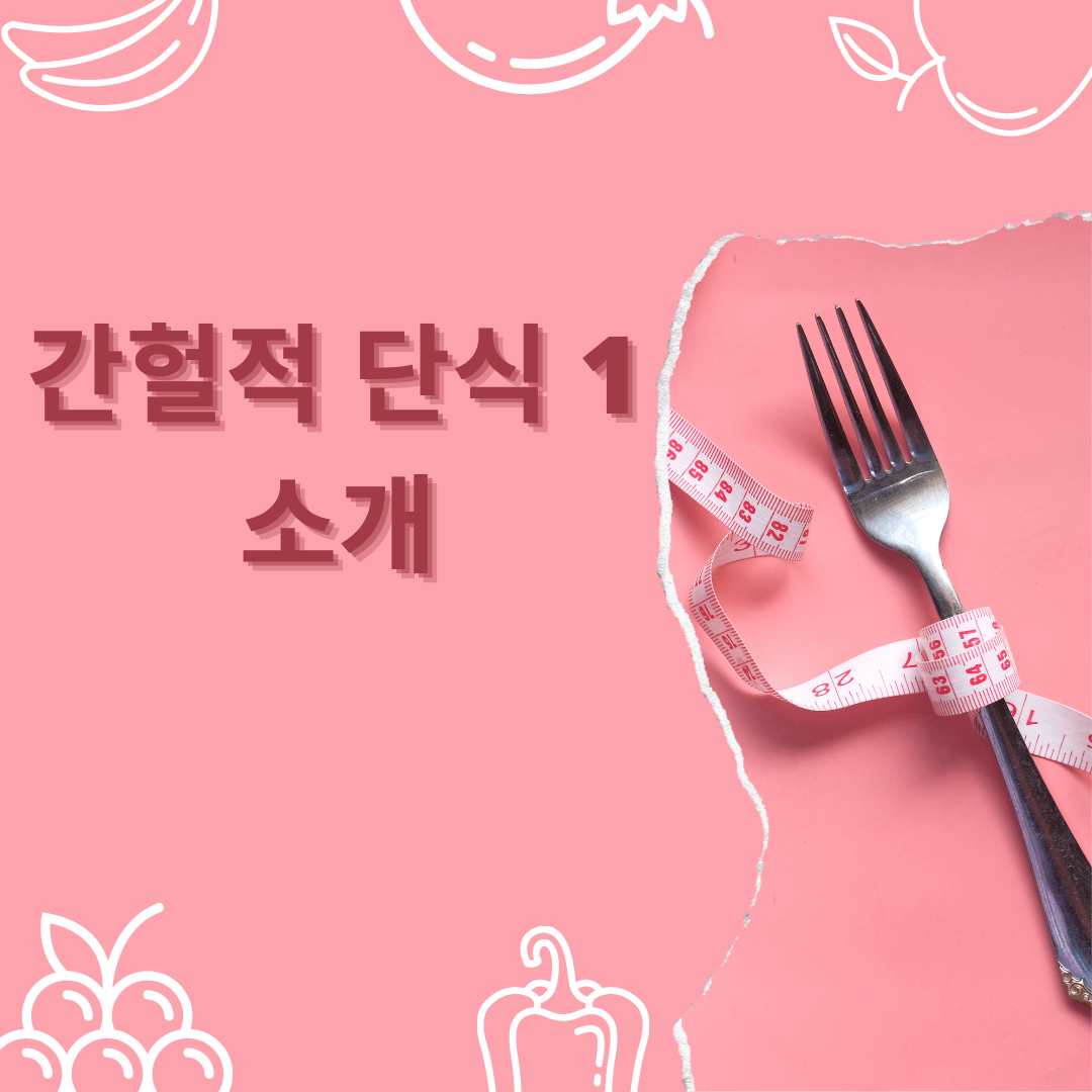간헐적 단식 1 소개