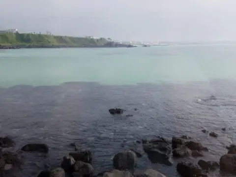 제주도-가을여행