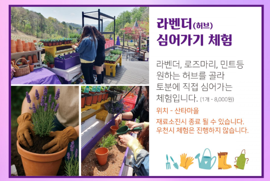 허브아일랜드 라데봄축제? 당신만 모르는 비밀 공간