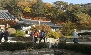 기차여행 단풍특선 추천