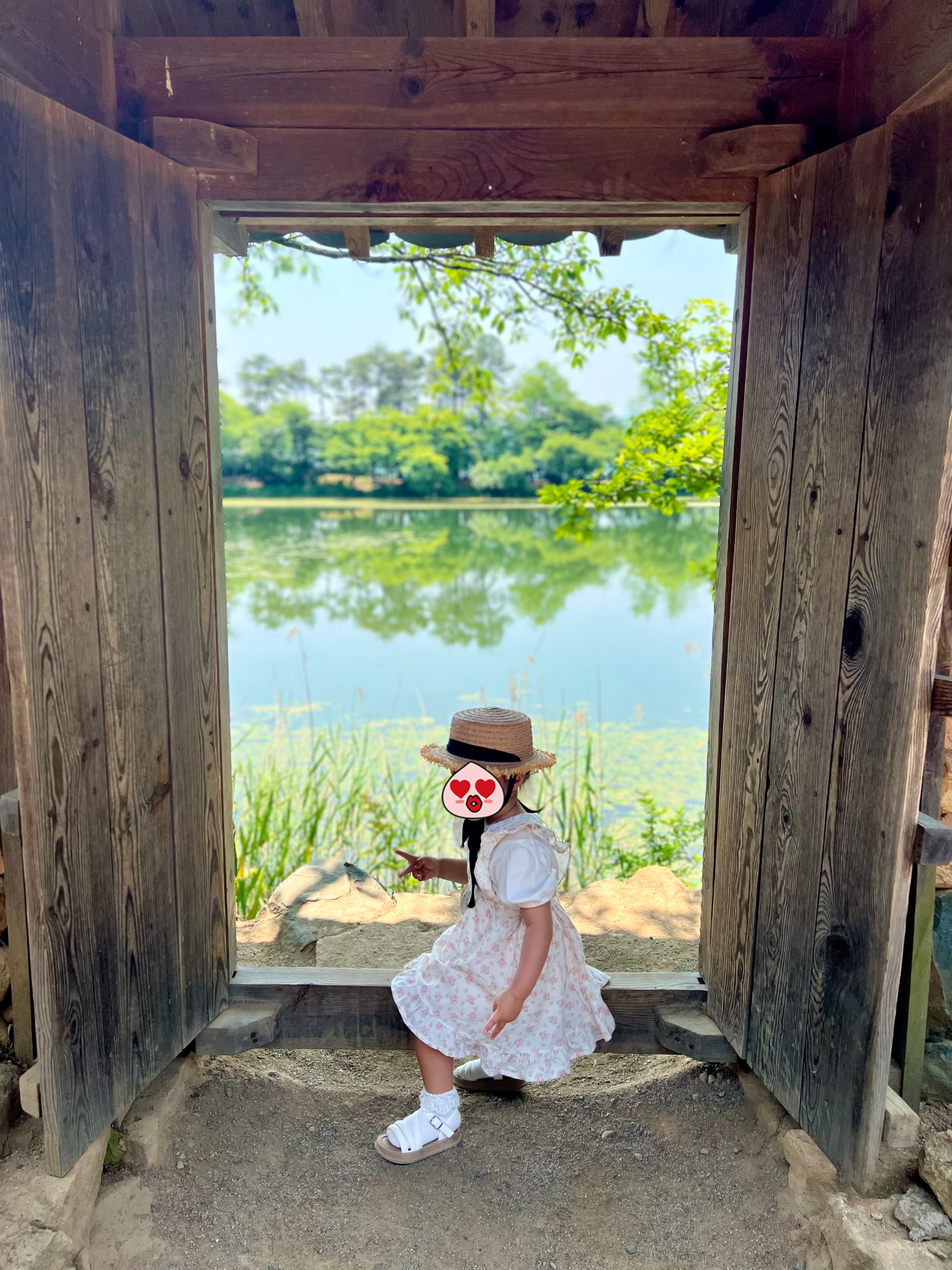 완재정 포토존, 밀양 위양지 아이와 ,연못위에 비치 정자 반영과 완재정 포토존