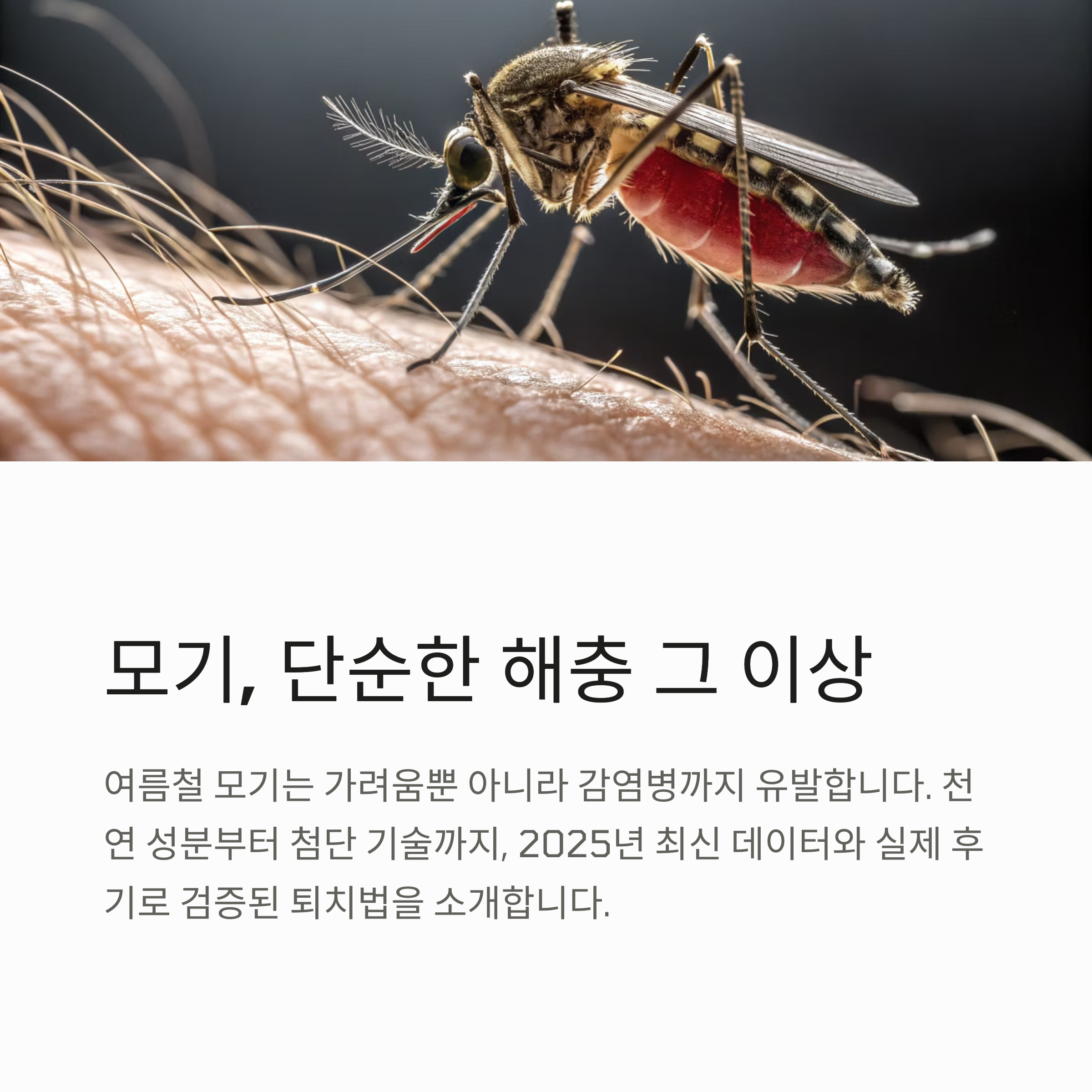 모기, 단순한 해충 그 이상