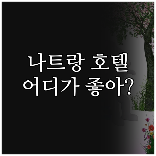 나트랑 인기 호텔 추천! 버고 호텔,..